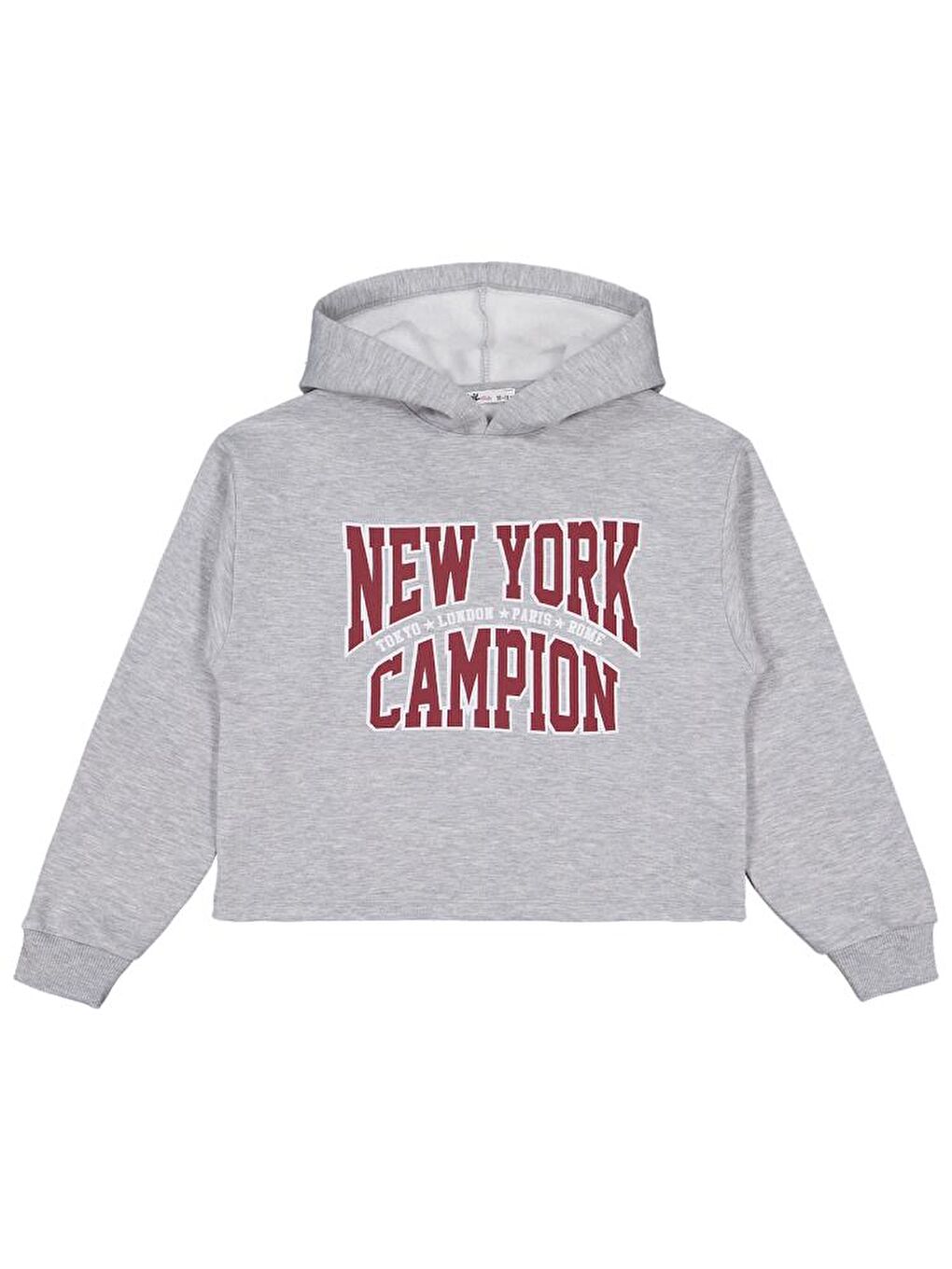 Gri Girls New York Campion Baskılı 10-13 Yaş Sweatshirt-1