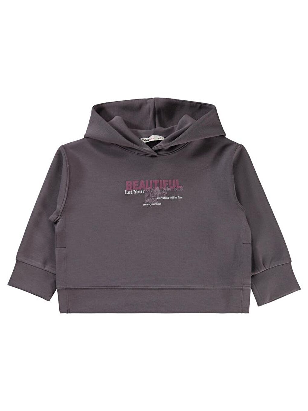 Gri Girls Beautiful Baskılı 2-5 Yaş Sweatshirt-1