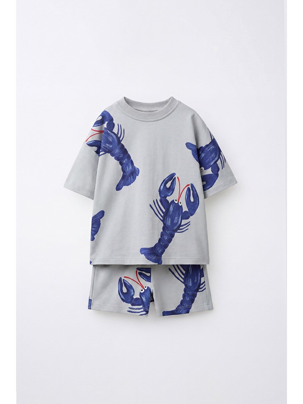 Gri Erkek Çocuk Pamuklu Istakoz Desenli T-Shirt Şort Takım