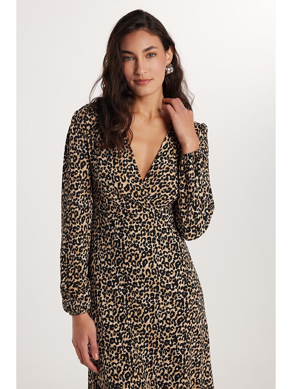 Karışık Kadın Regular Fit Uzun Kollu Leopar Desenli V Yaka Elbise-1