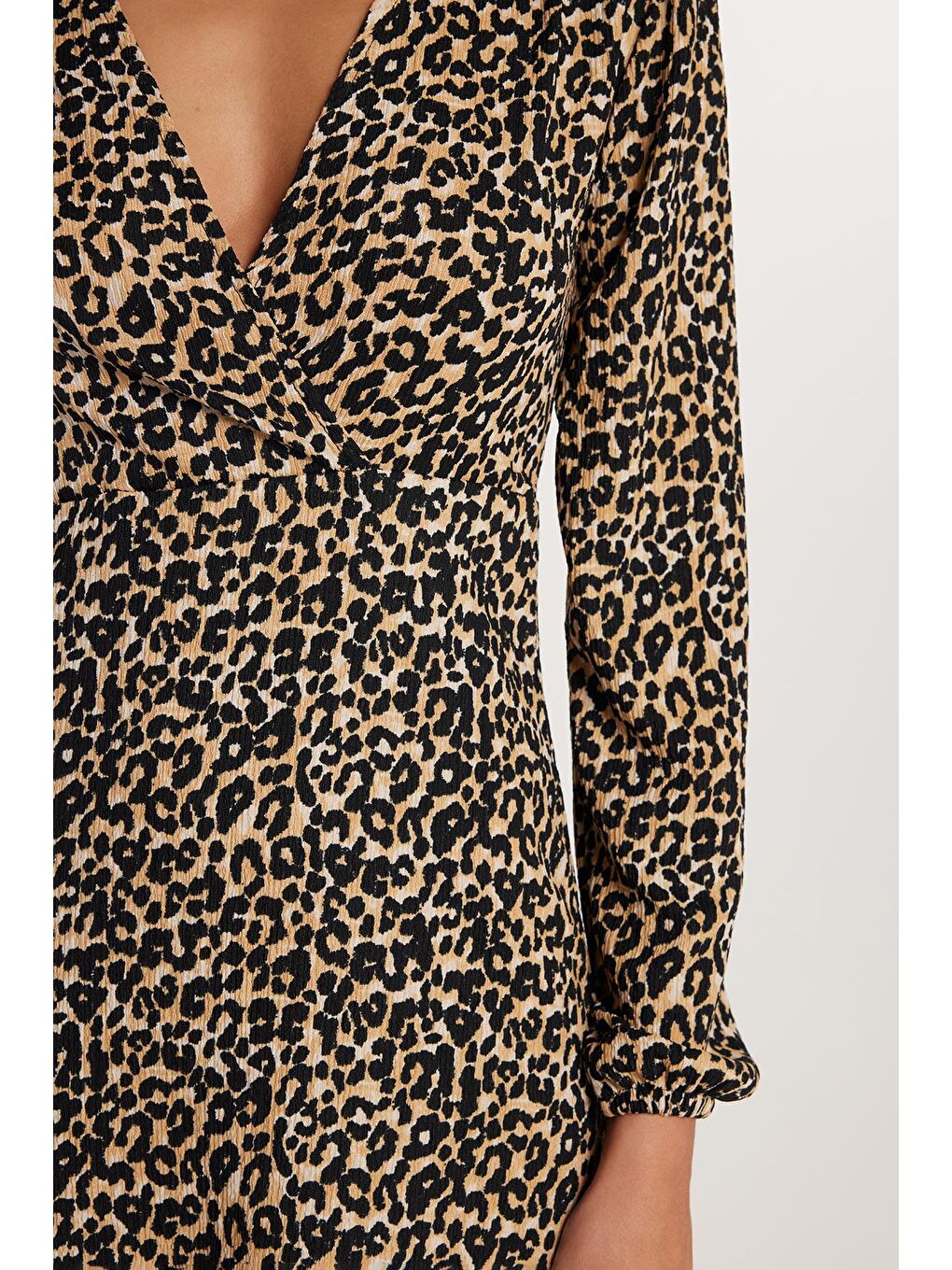 Karışık Kadın Regular Fit Uzun Kollu Leopar Desenli V Yaka Elbise-2