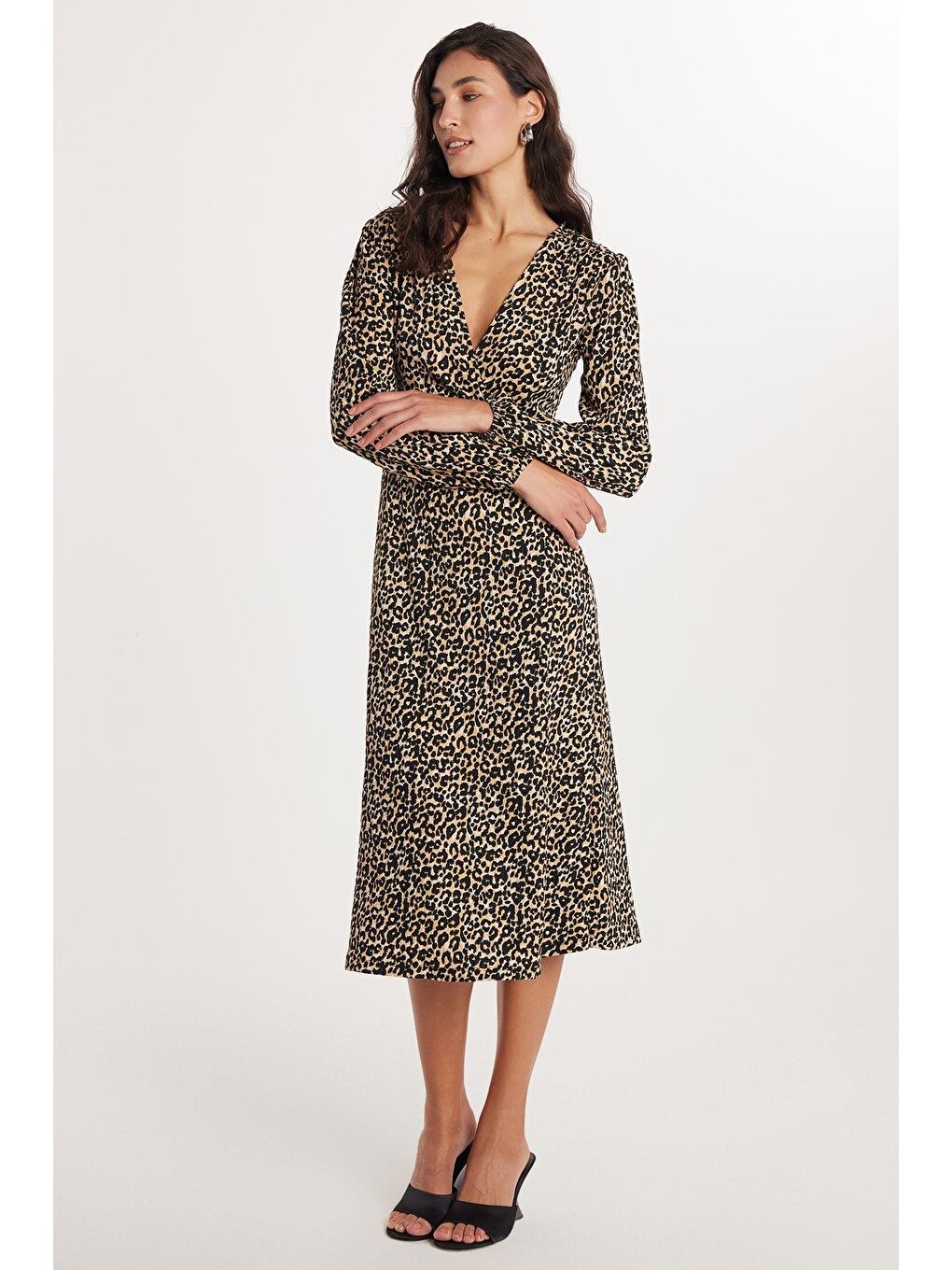 Karışık Kadın Regular Fit Uzun Kollu Leopar Desenli V Yaka Elbise-3