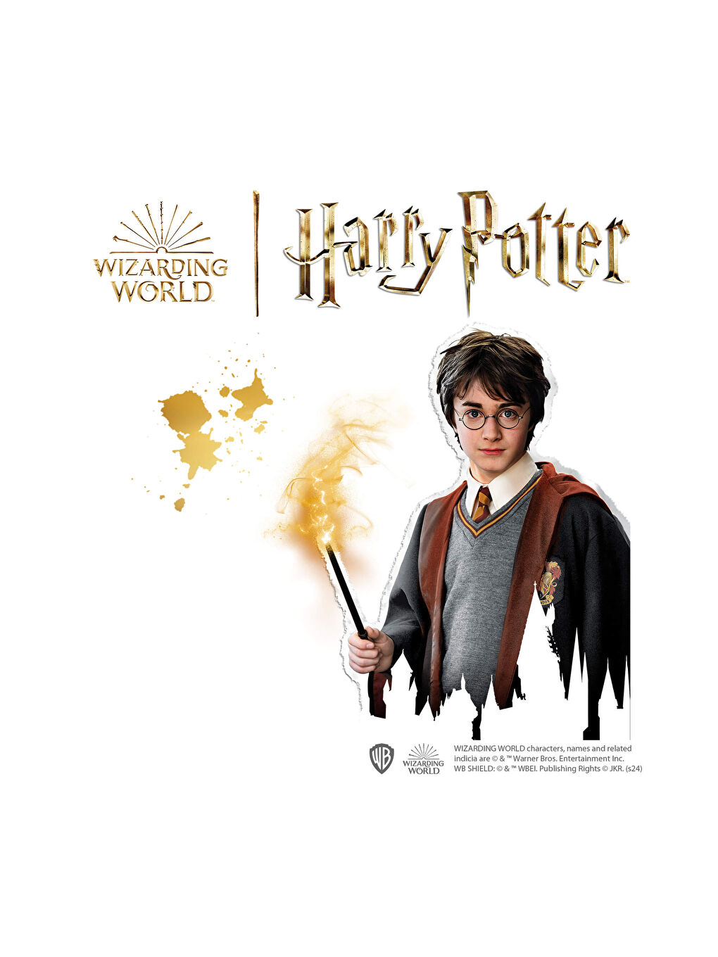 Harry Potter - Kalıba Dök ve Boya-3