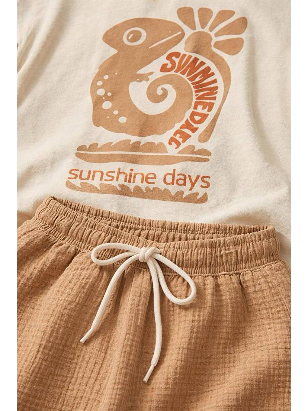 Kahverengi Erkek Çocuk Pamuklu Tarçın İguana Baskılı T-Shirt Ve Müslin Kumaş Şort Takım-1