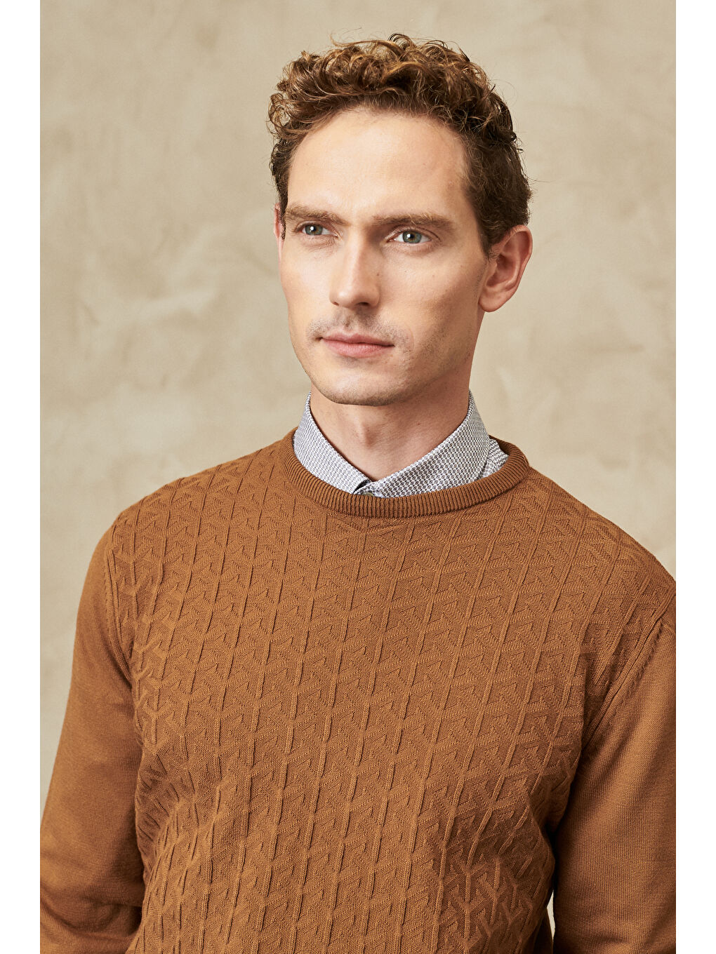 Kahverengi Erkek Tarçın Anti-Pilling Özellikli Tüylenme Yapmayan Standart Fit Bisiklet Yaka Önü Dokulu Triko-1