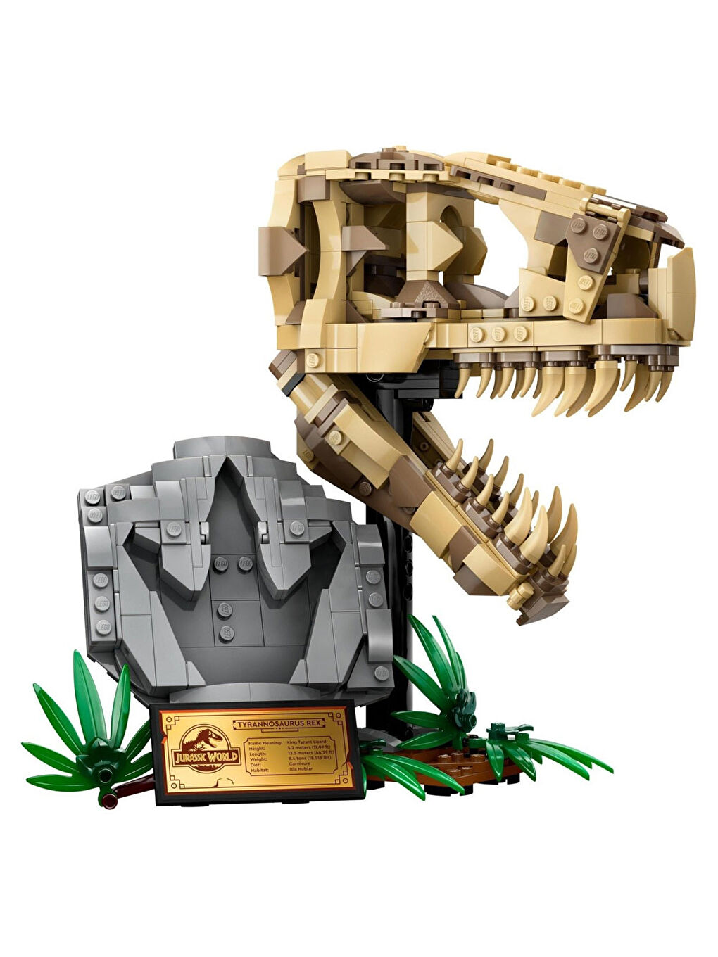 Jurassic World Dinozor Fosilleri: T. Rex Kafatası 76964-1