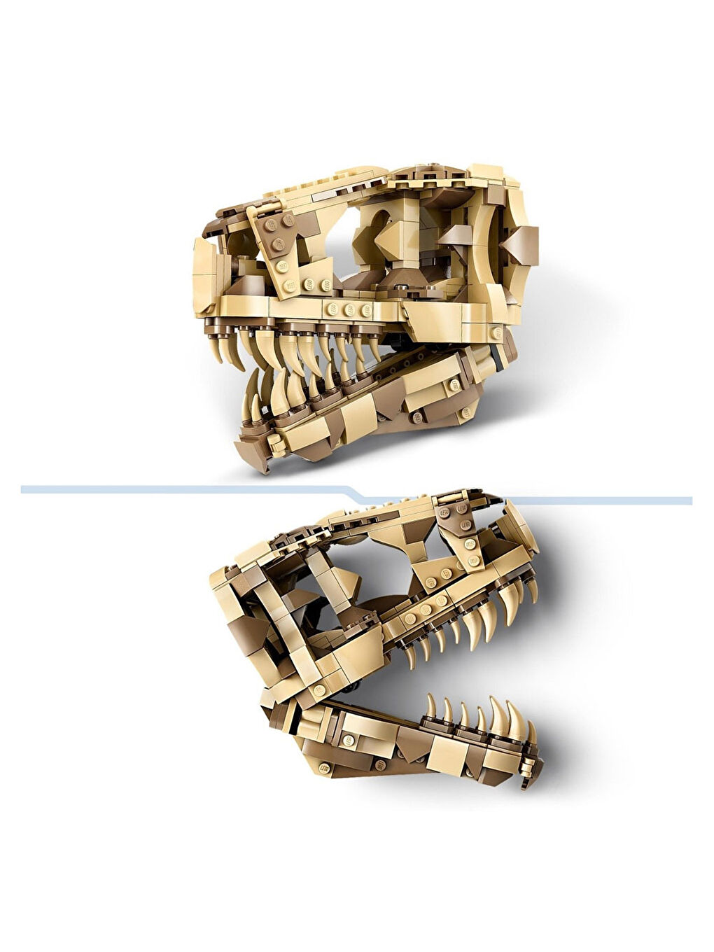 Jurassic World Dinozor Fosilleri: T. Rex Kafatası 76964-6
