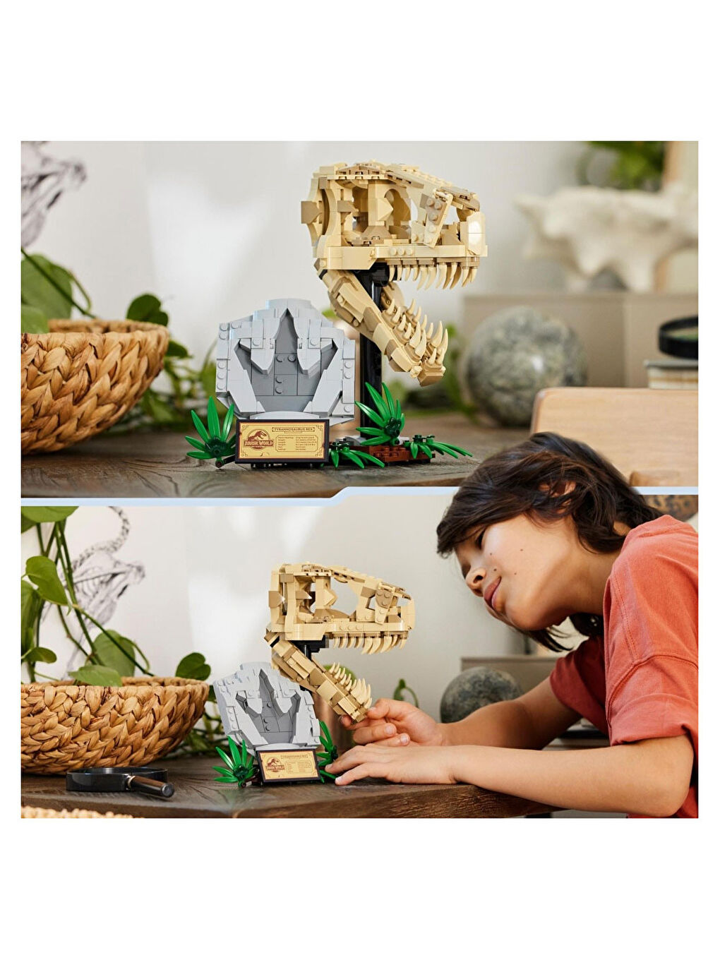 Jurassic World Dinozor Fosilleri: T. Rex Kafatası 76964-7