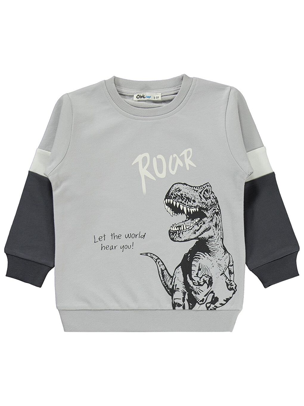 Gri Boys Dinozor Baskılı 2-5 Yaş Eşofman Takımı-2