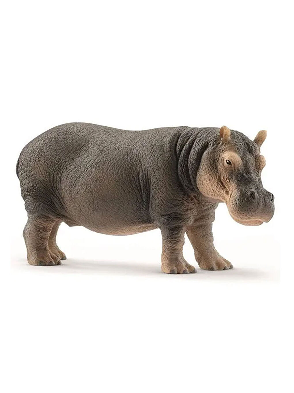 Wild Life Figür Su Aygırı CWL14814