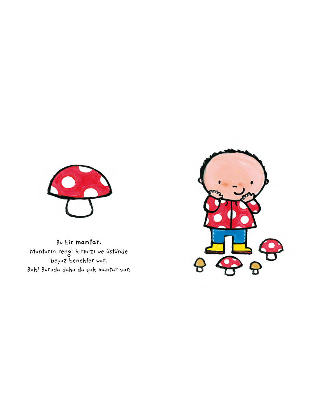 Dünyamı Keşfediyorum - Sonbahar ve Kış-2