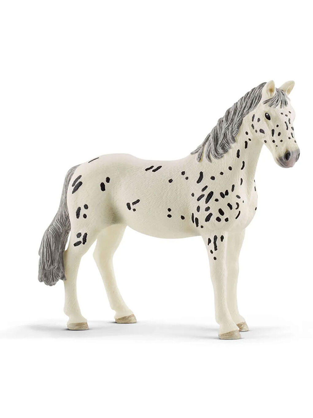 Knabstupper Kısrak 13910