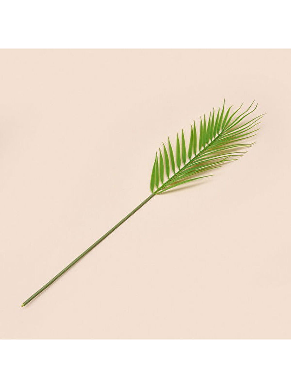 Areka Dal Çiçek - Yeşil - 50 cm-1