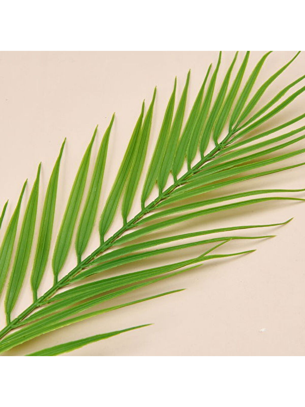 Areka Dal Çiçek - Yeşil - 50 cm-2