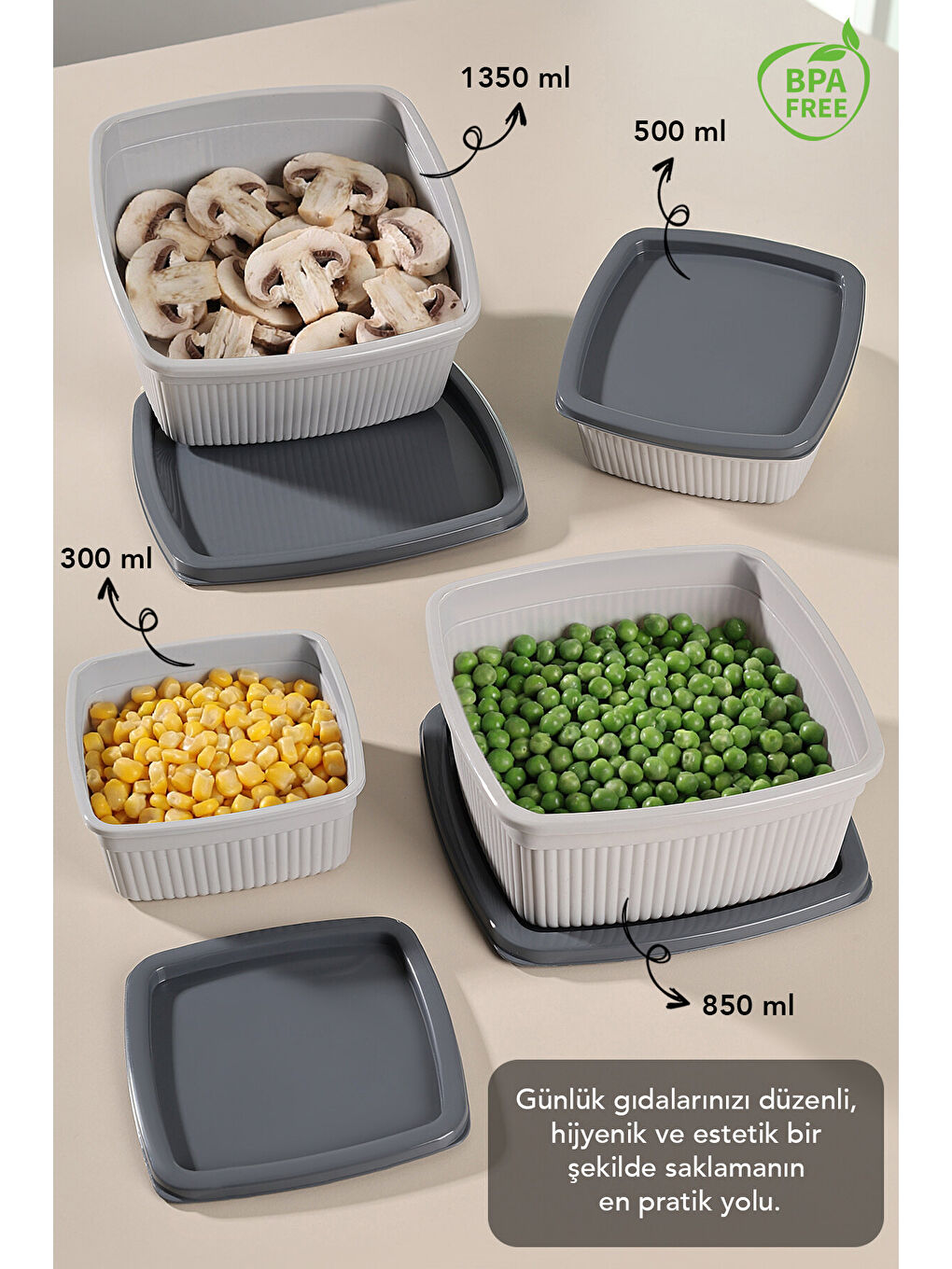 Gri 20'li Çizgili Kare Gıda Saklama Kabı Seti-1
