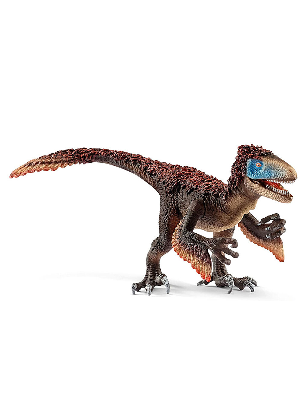 Utahraptor 14582