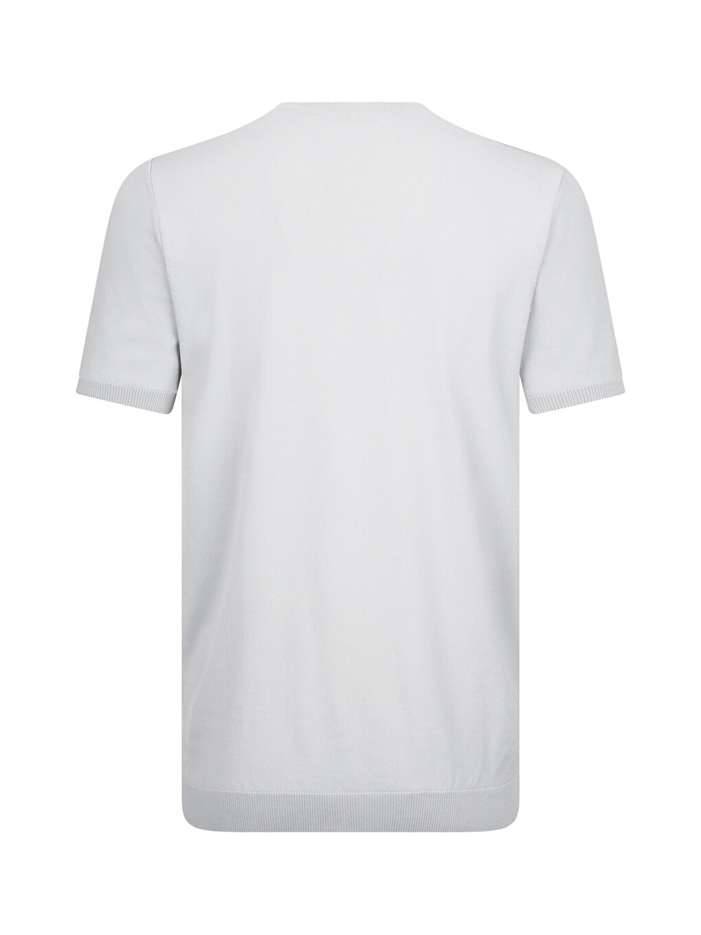 Gri Regular Fit Bisiklet Yaka Rayon Tişört-1