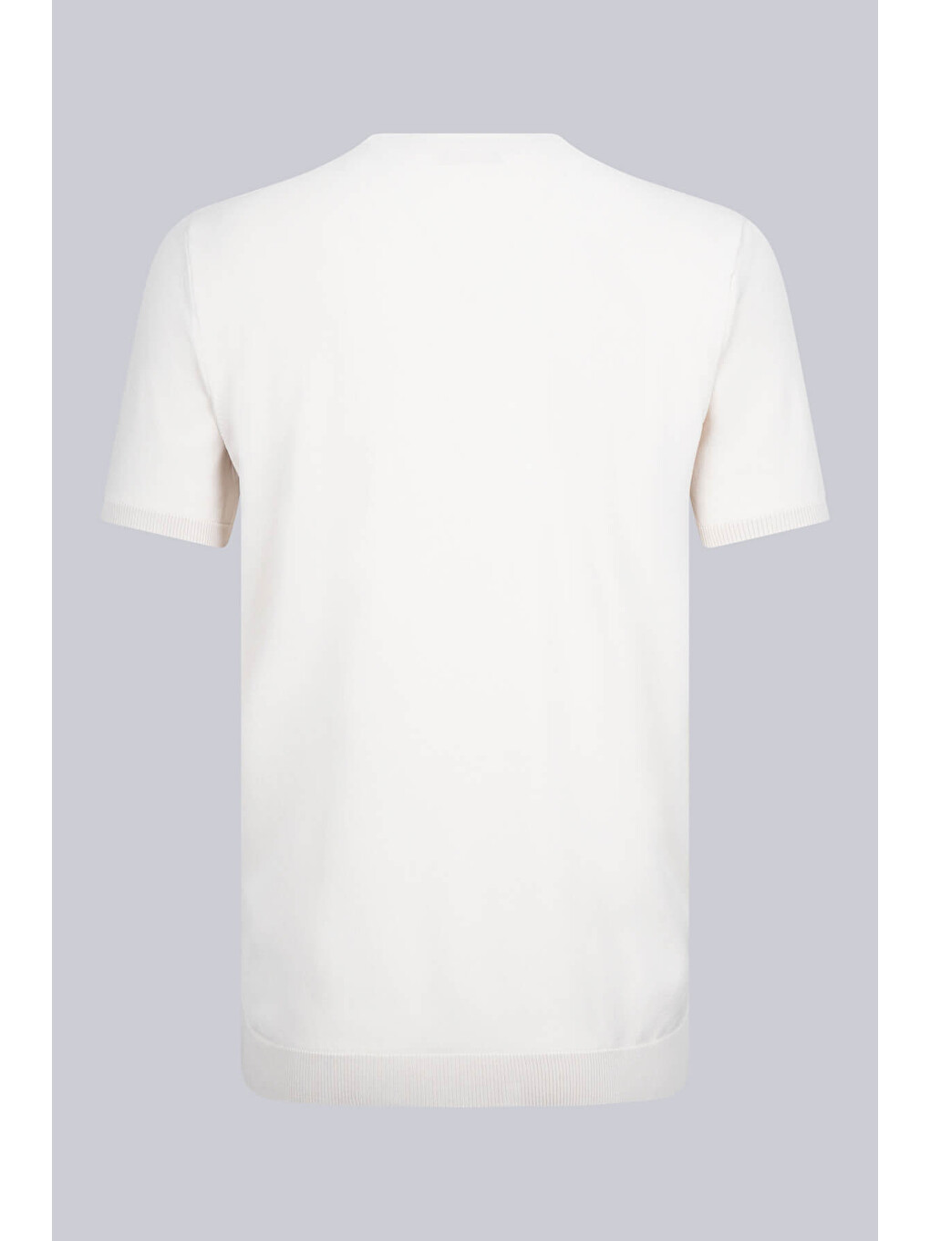 Bej Taş Regular Fit Bisiklet Yaka Rayon Tişört-1