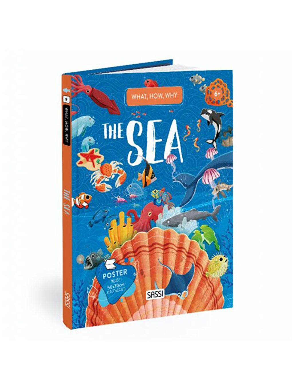 What - How - Why? The Sea