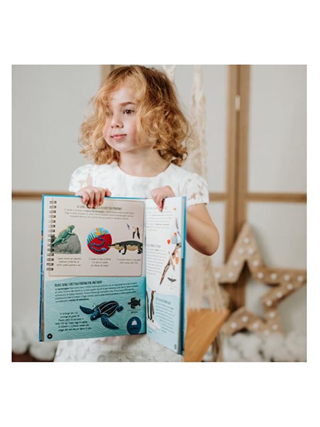 What - How - Why? The Sea-2