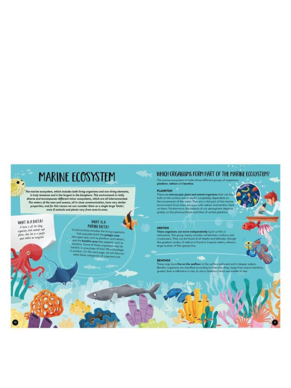 What - How - Why? The Sea-3