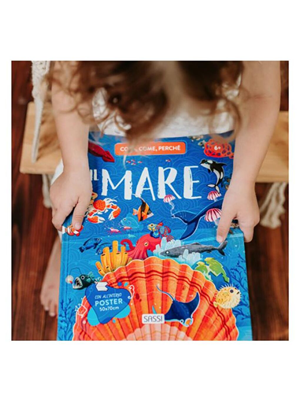 What - How - Why? The Sea-7