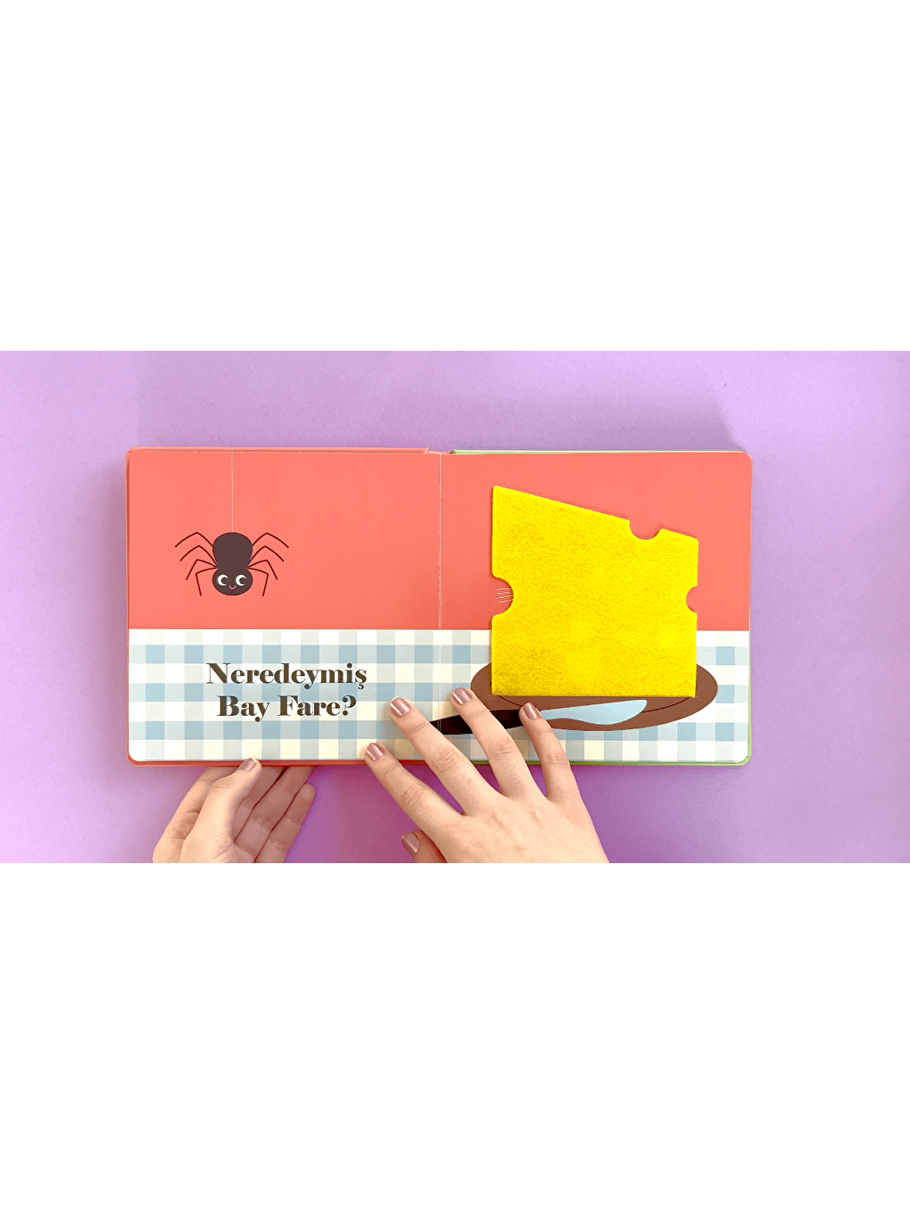 Neredeymiş Bay Köpek? (Dokun, Hisset, Aynaya Bak!)-1