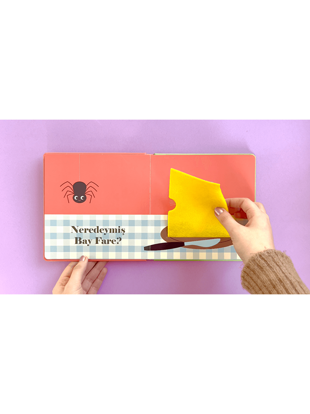 Neredeymiş Bay Köpek? (Dokun, Hisset, Aynaya Bak!)-2