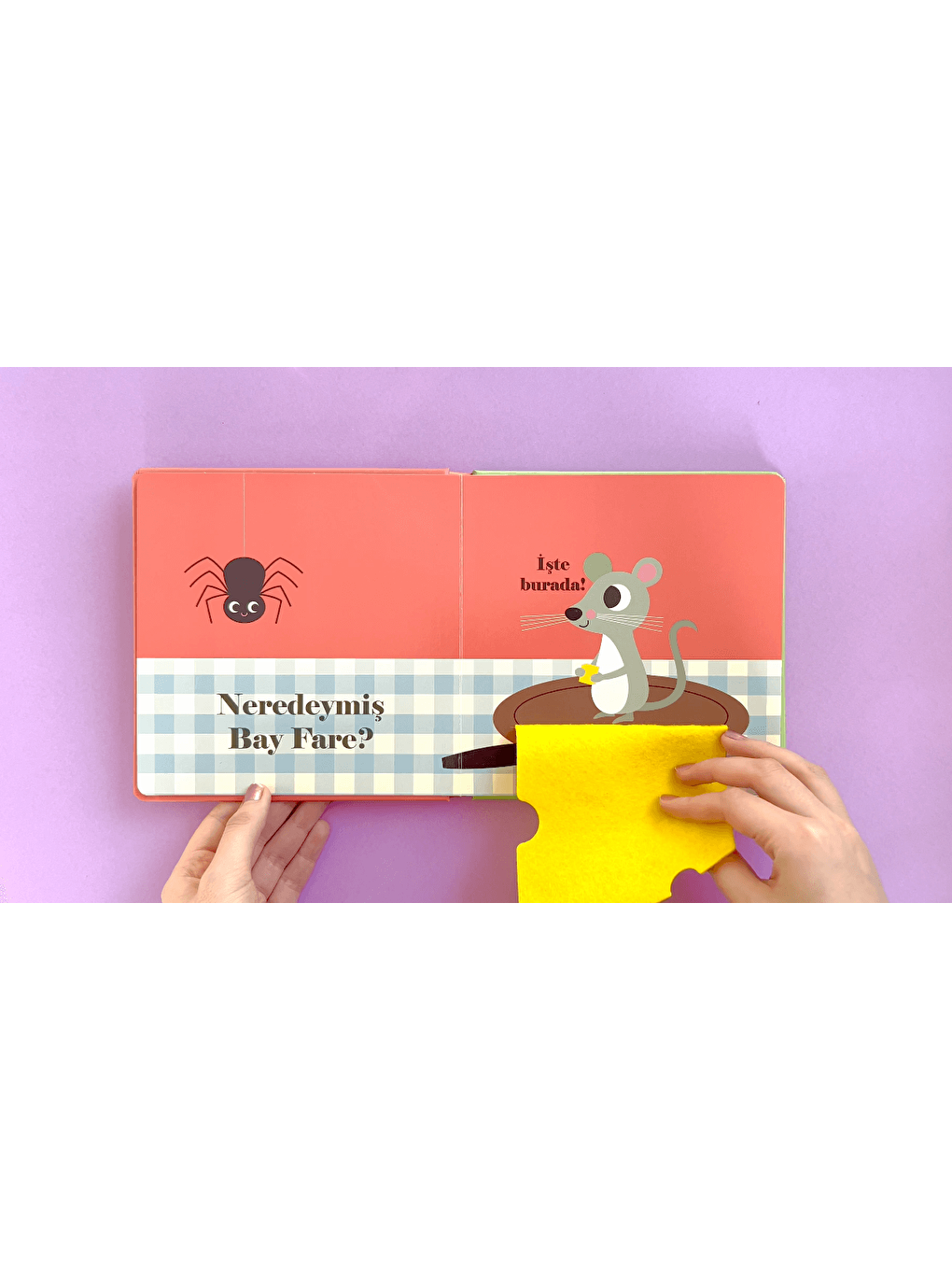 Neredeymiş Bay Köpek? (Dokun, Hisset, Aynaya Bak!)-3