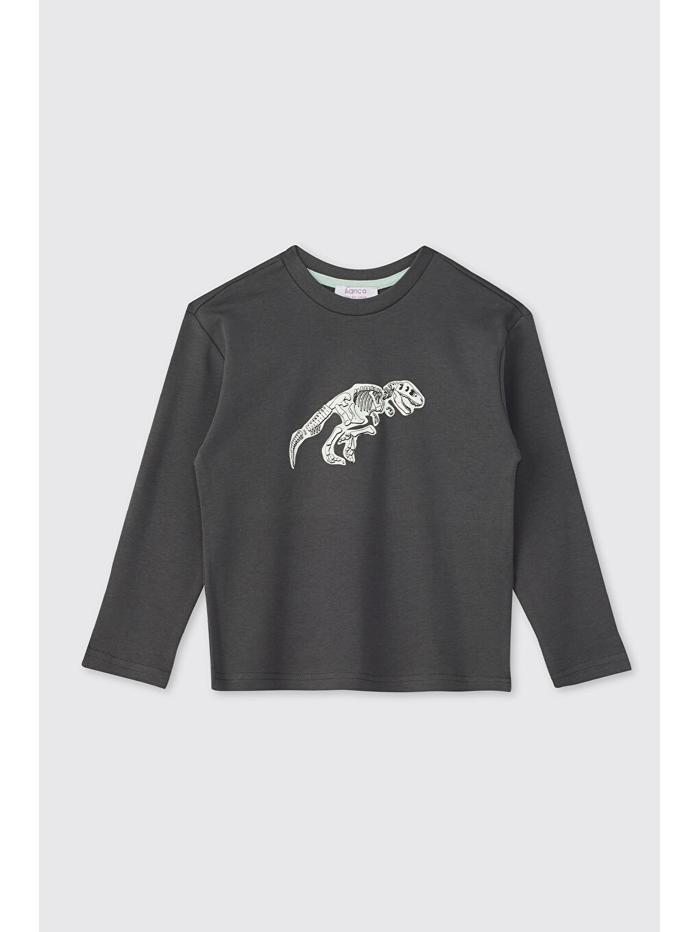 Erkek Çocuk Dinozor Baskılı Antrasit Pijama Takımı-2