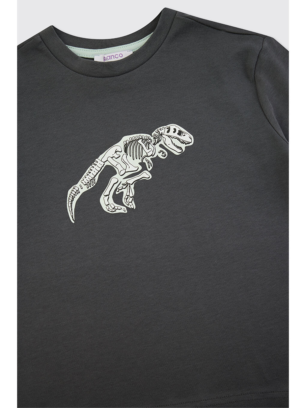 Erkek Çocuk Dinozor Baskılı Antrasit Pijama Takımı-7