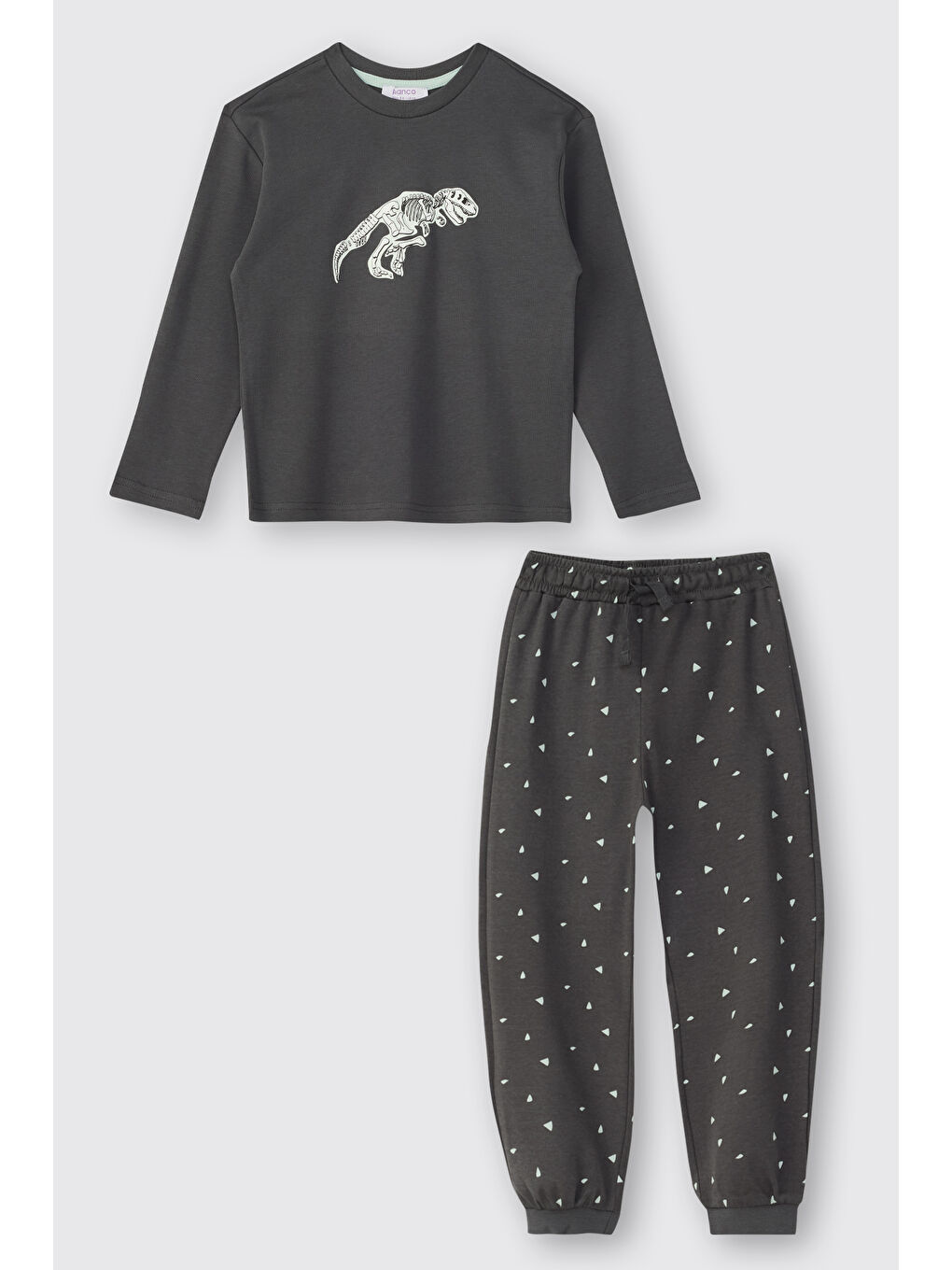 Erkek Çocuk Dinozor Baskılı Antrasit Pijama Takımı-10
