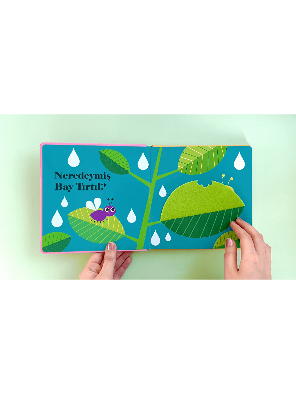 Neredeymiş Bayan Uğur Böceği? (Dokun, Hisset, Aynaya Bak!)-1