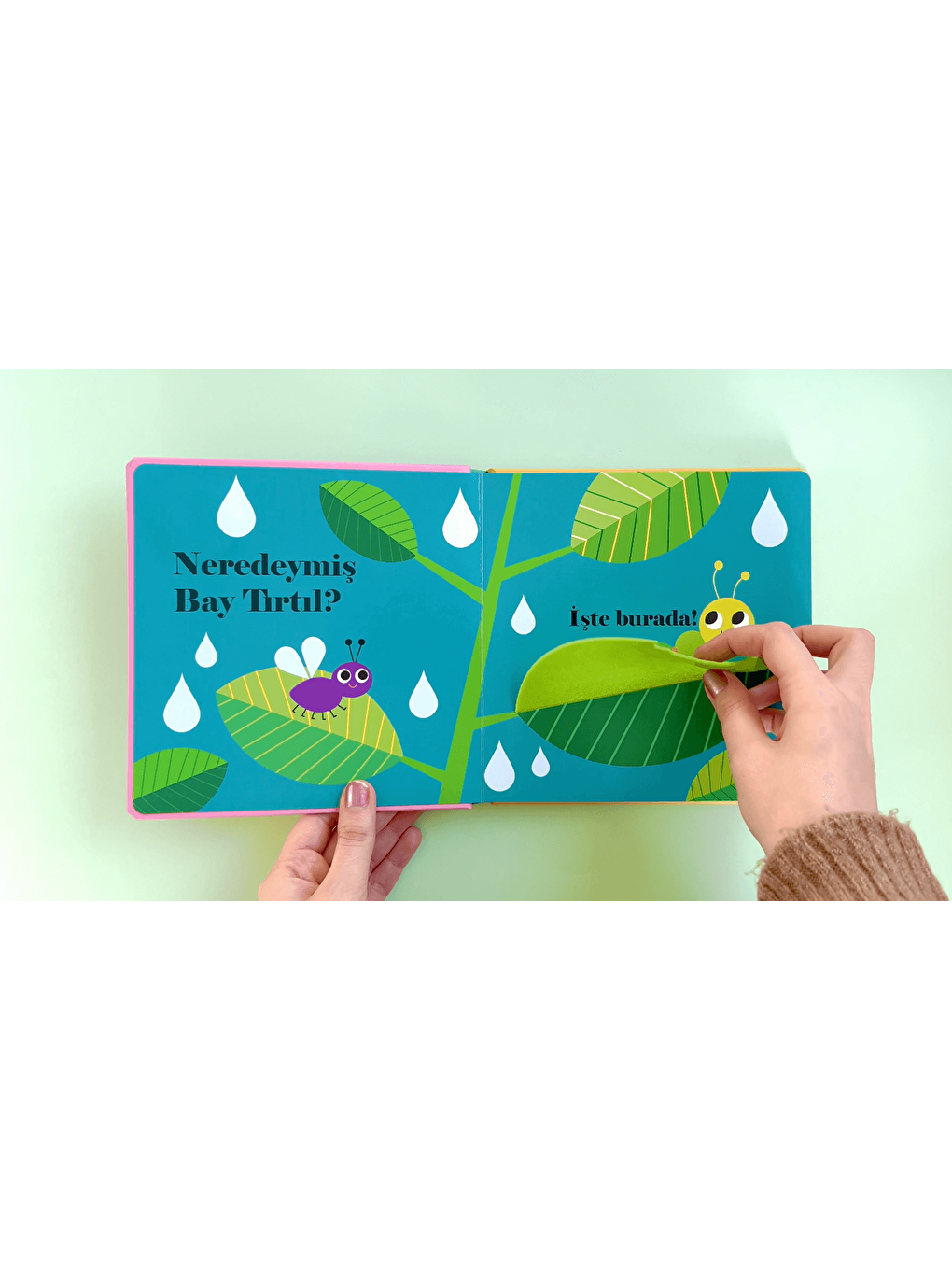 Neredeymiş Bayan Uğur Böceği? (Dokun, Hisset, Aynaya Bak!)-2