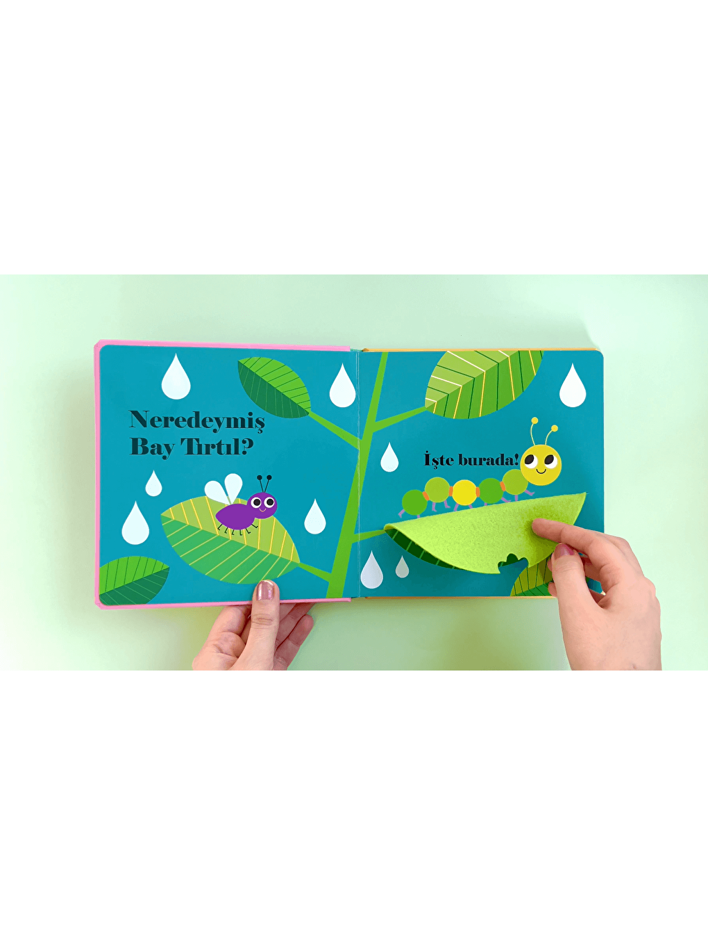 Neredeymiş Bayan Uğur Böceği? (Dokun, Hisset, Aynaya Bak!)-3