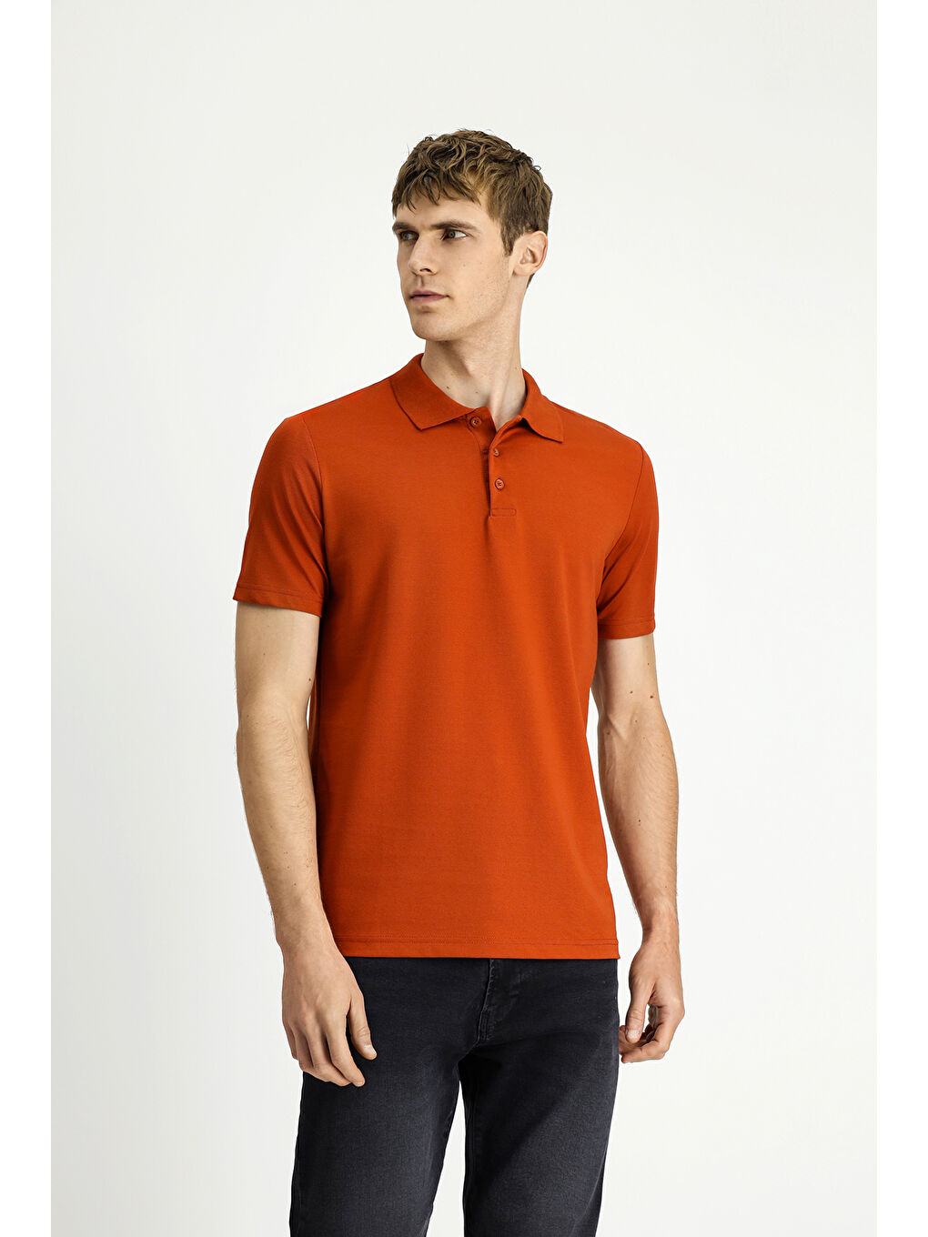 Kahverengi Polo Yaka Regular Fit Nakışlı Pamuklu Büyük Beden Tişört