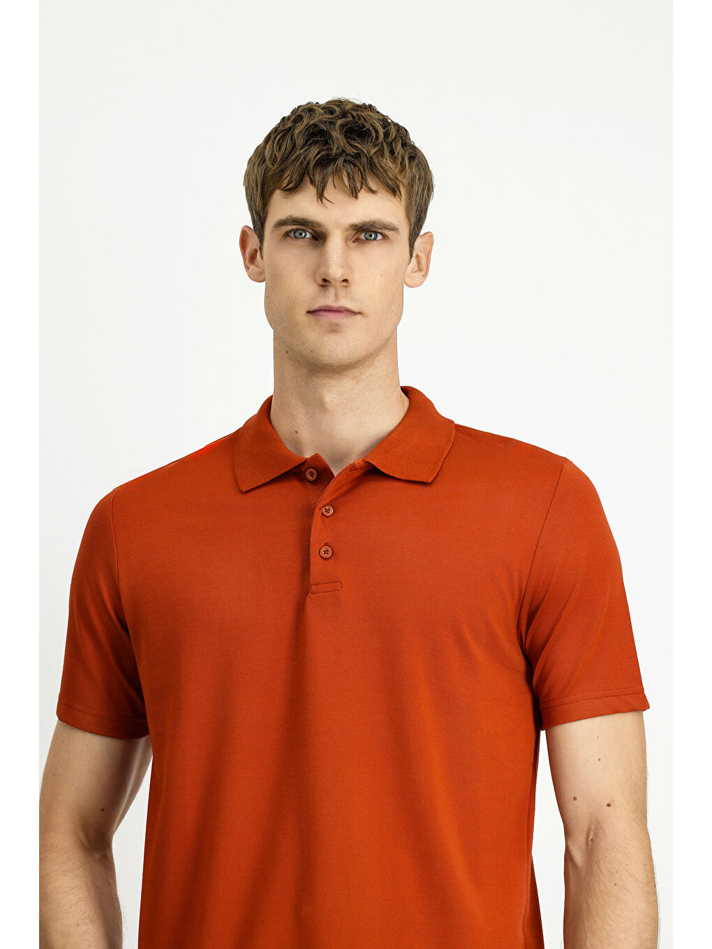 Kahverengi Polo Yaka Regular Fit Nakışlı Pamuklu Büyük Beden Tişört-2