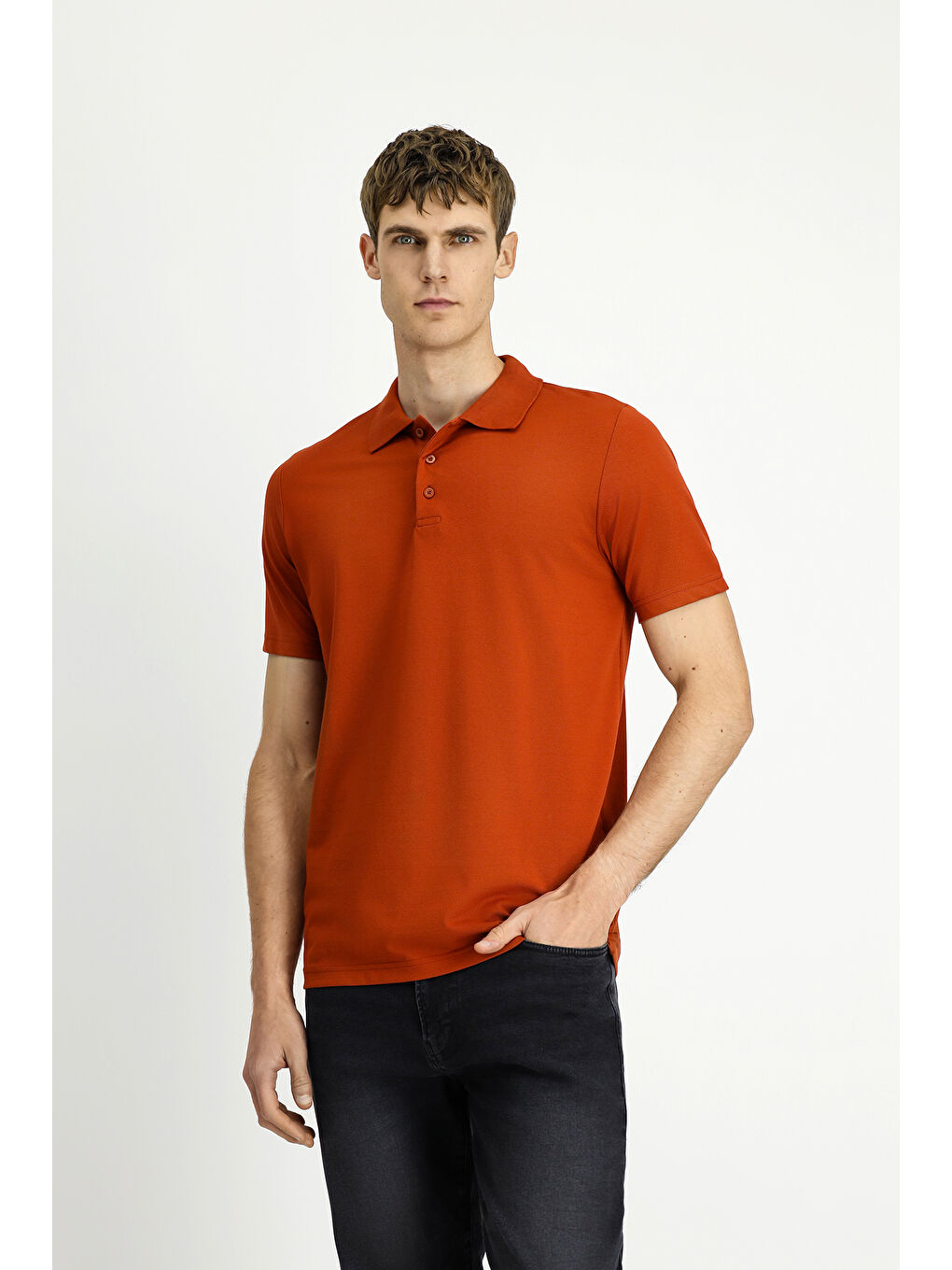 Kahverengi Polo Yaka Regular Fit Nakışlı Pamuklu Büyük Beden Tişört-4