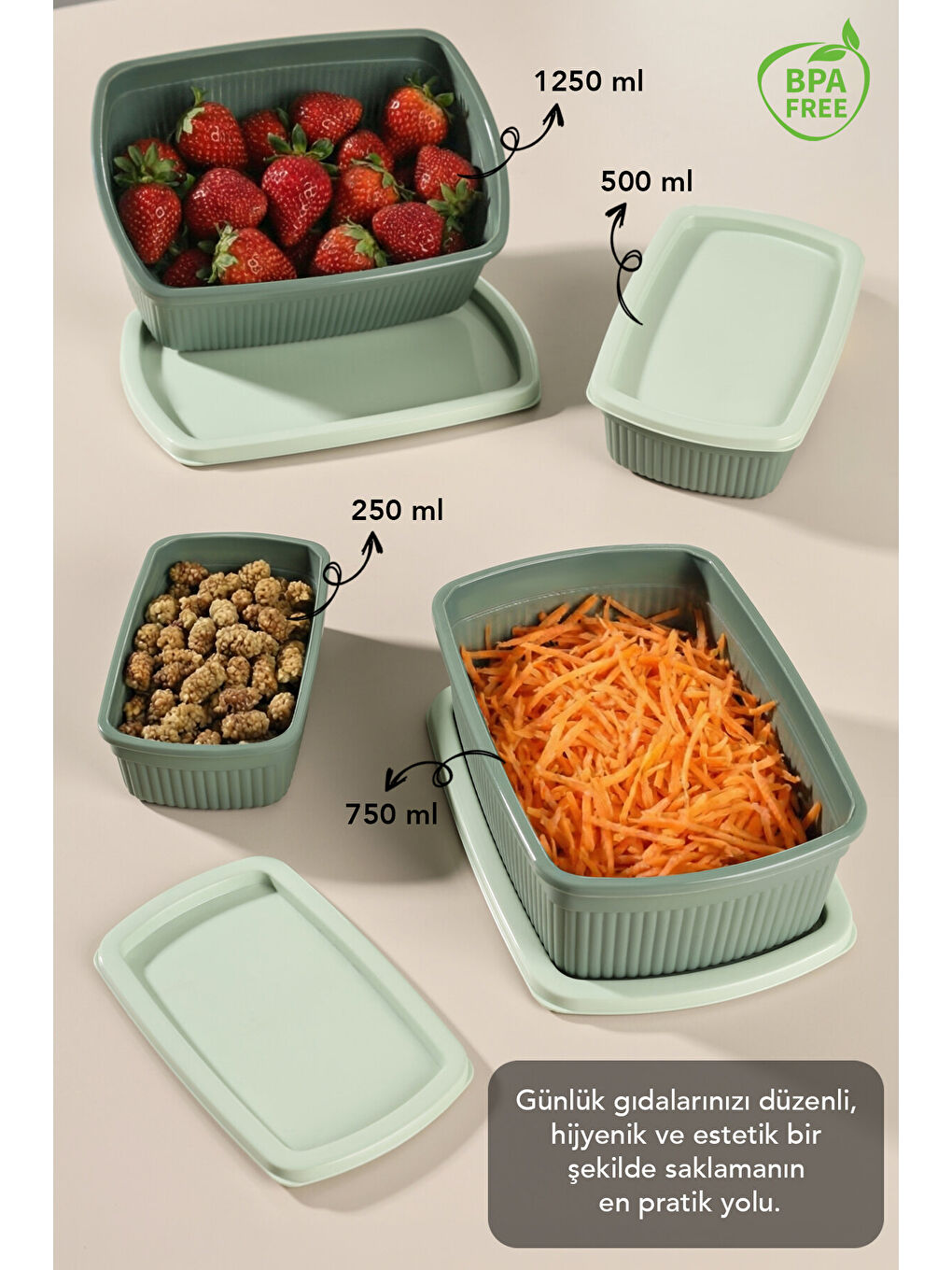 Yeşil 12'li Çizgili Dikdörtgen Gıda Saklama Kabı Seti-1