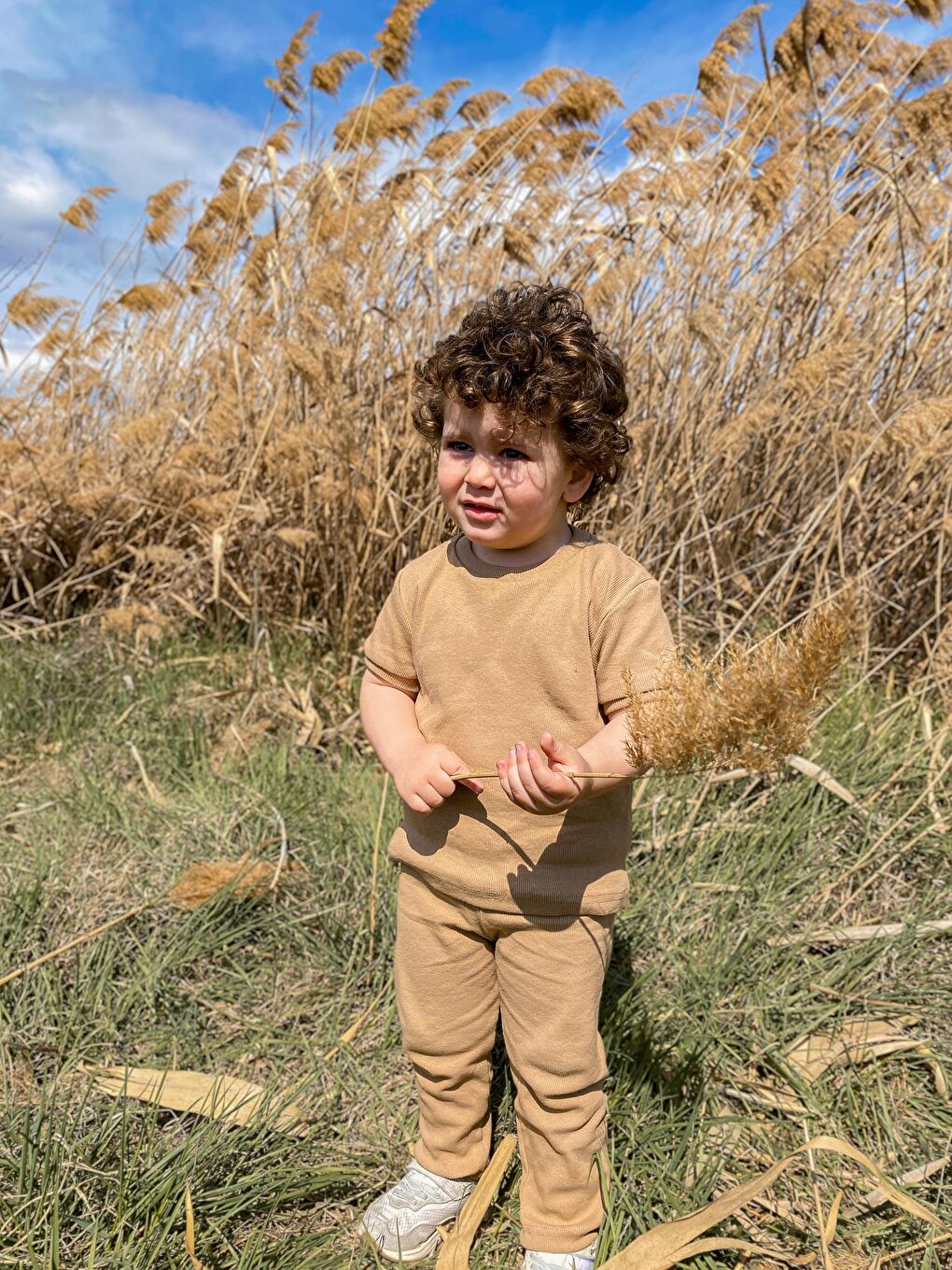 Kahverengi Kısa Kol Taytlı Takım MİA2XTYTT-1