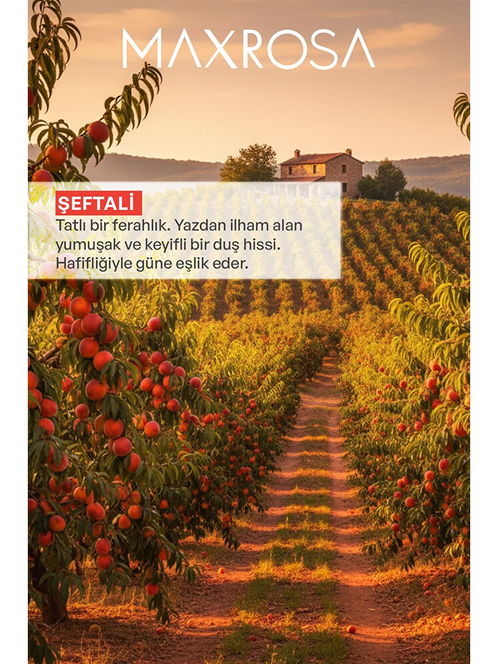 Şeftali Duş Jeli 600 ml-4