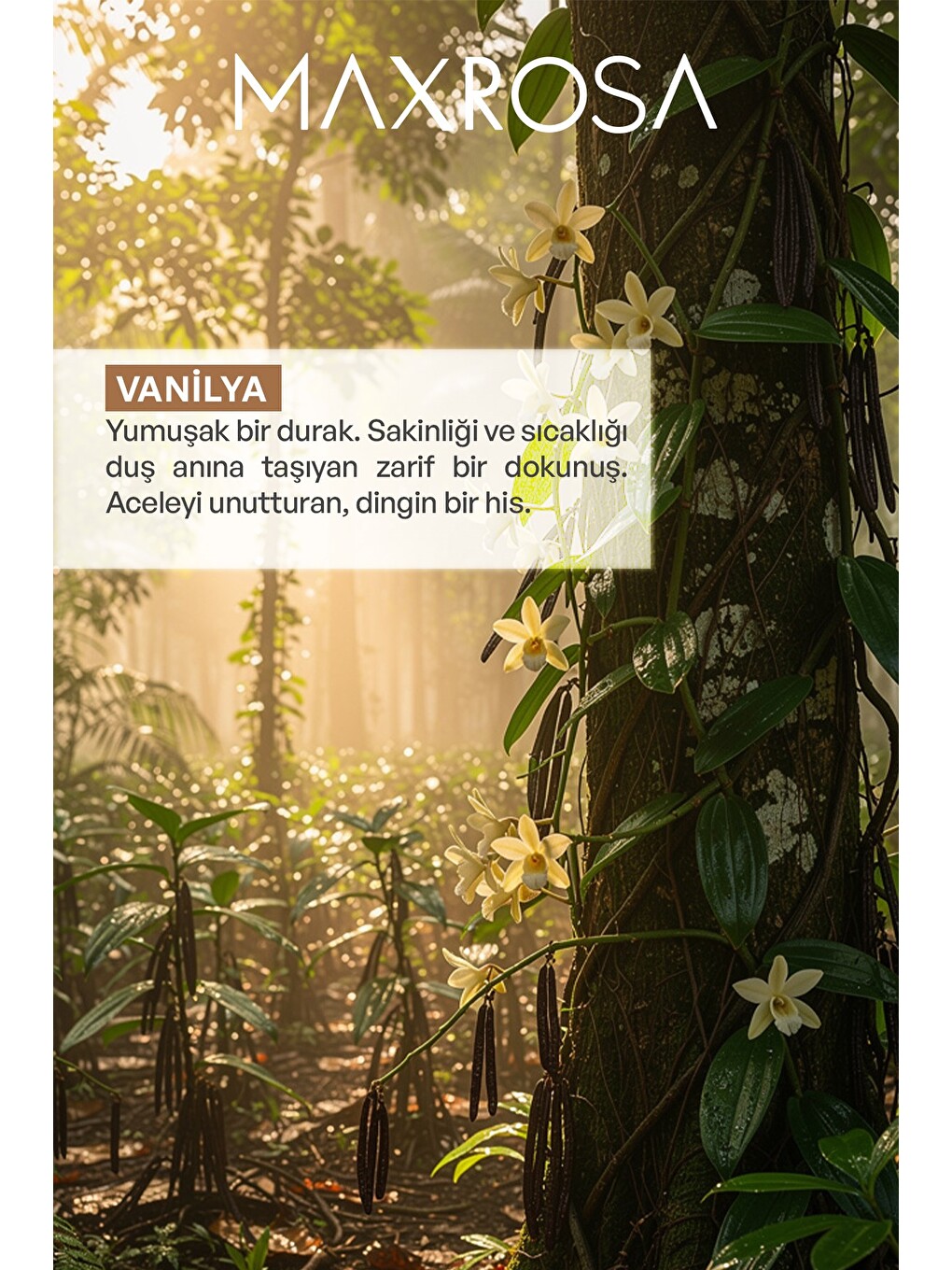 Vanilya Duş Jeli 600 ml-4
