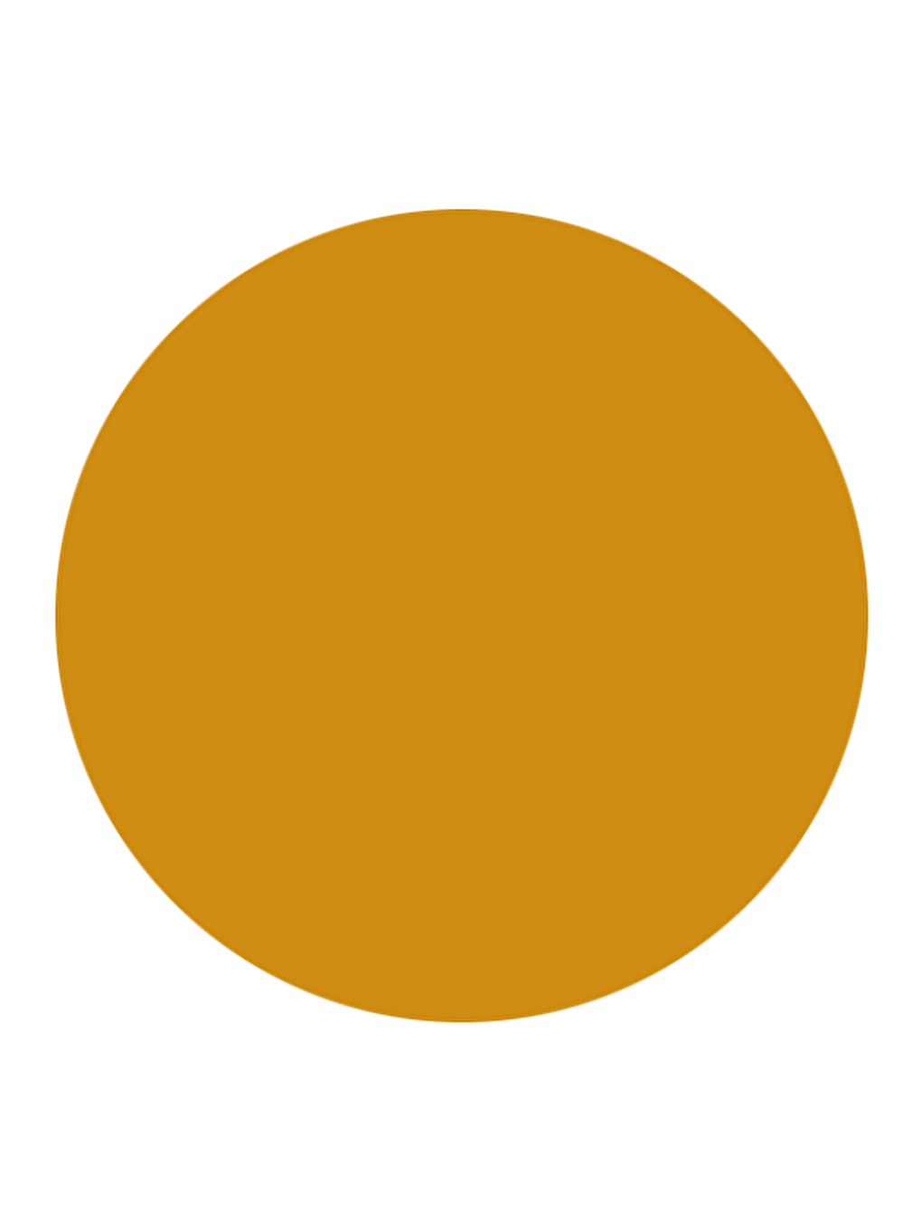 Basic Color - Toprak Rengi 1000ml-1