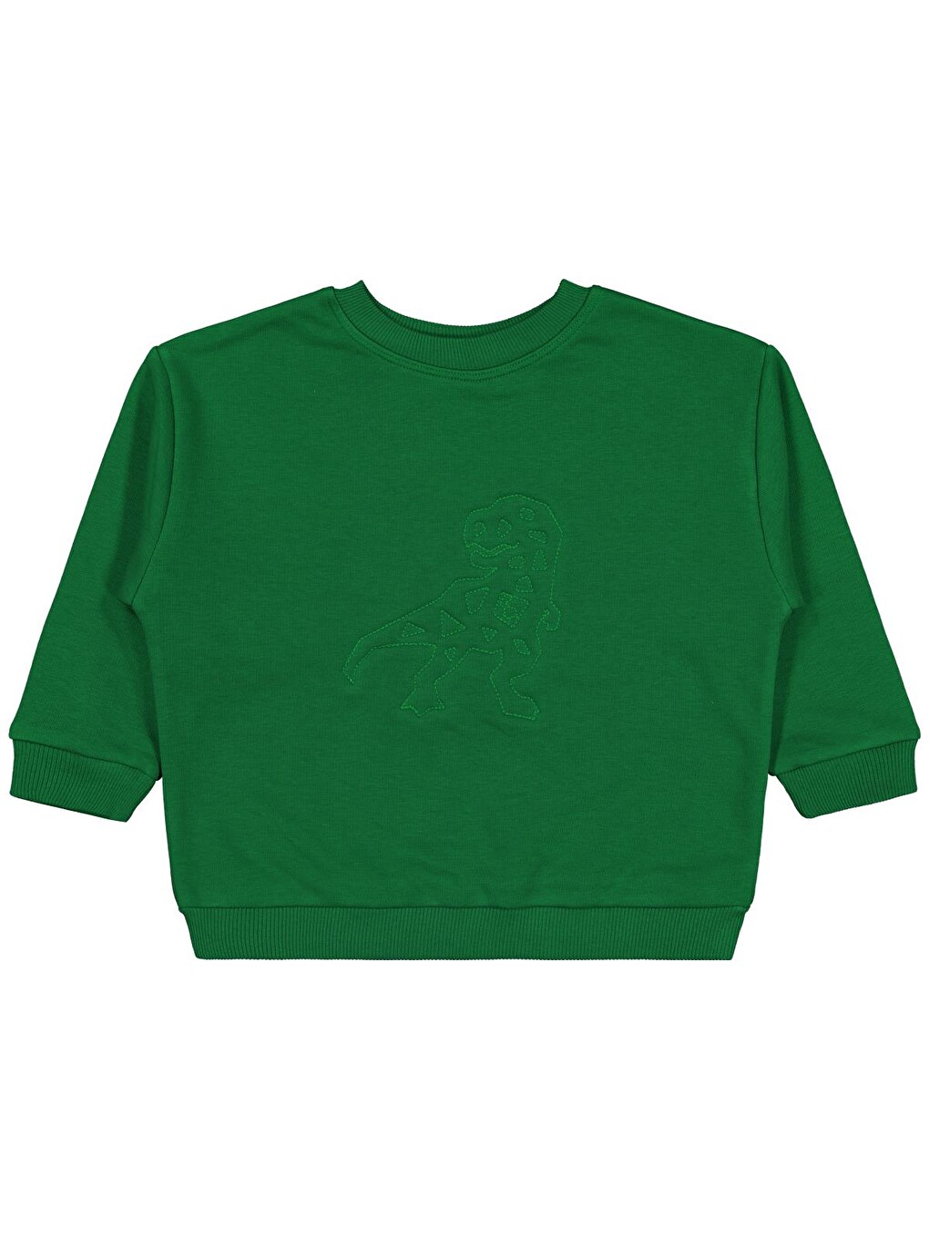 Boys Dinozor Nakışlı 2-5 Yaş Sweatshirt - Yeşil