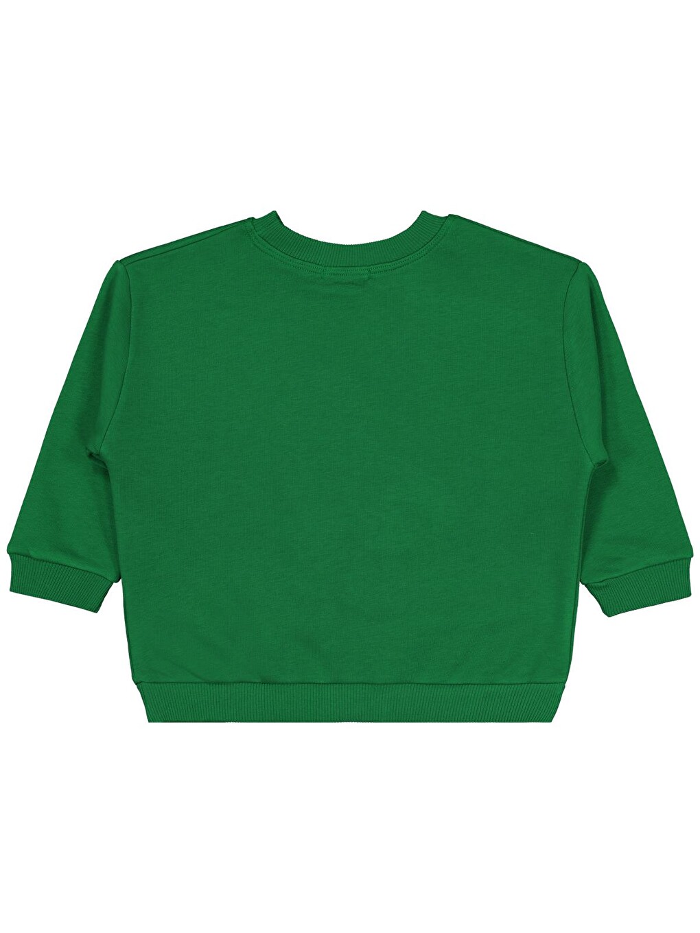 Boys Dinozor Nakışlı 2-5 Yaş Sweatshirt - Yeşil-1
