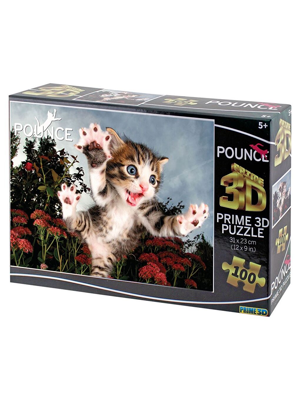 Kedi Pençesi Puzzle 100 Parça 10562