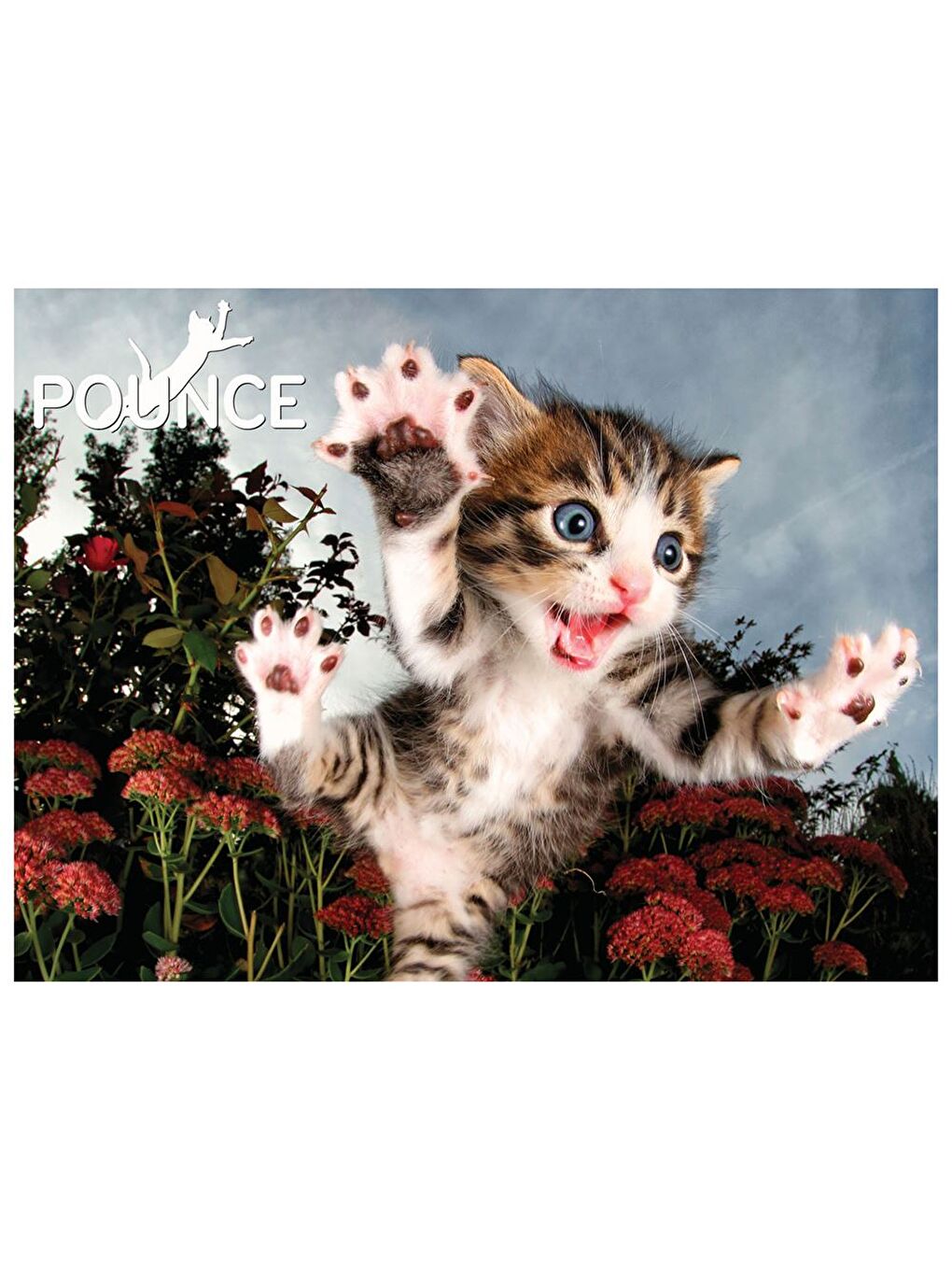 Kedi Pençesi Puzzle 100 Parça 10562-1