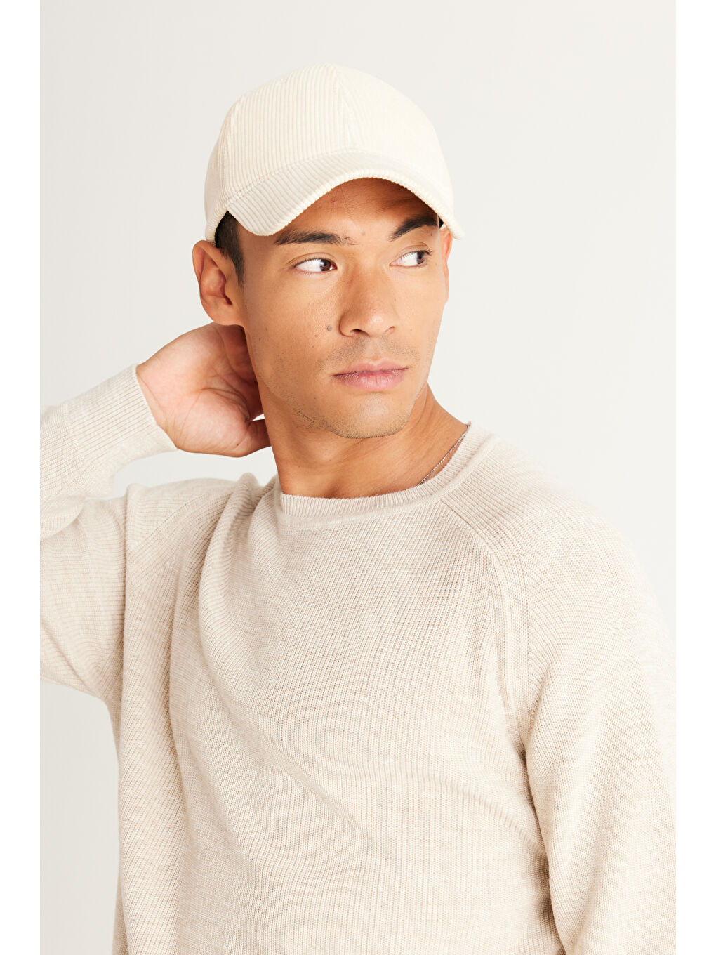 Bej Erkek Taş Standart Fit Normal Kesim Bisiklet Yaka Desenli Triko Kazak-3