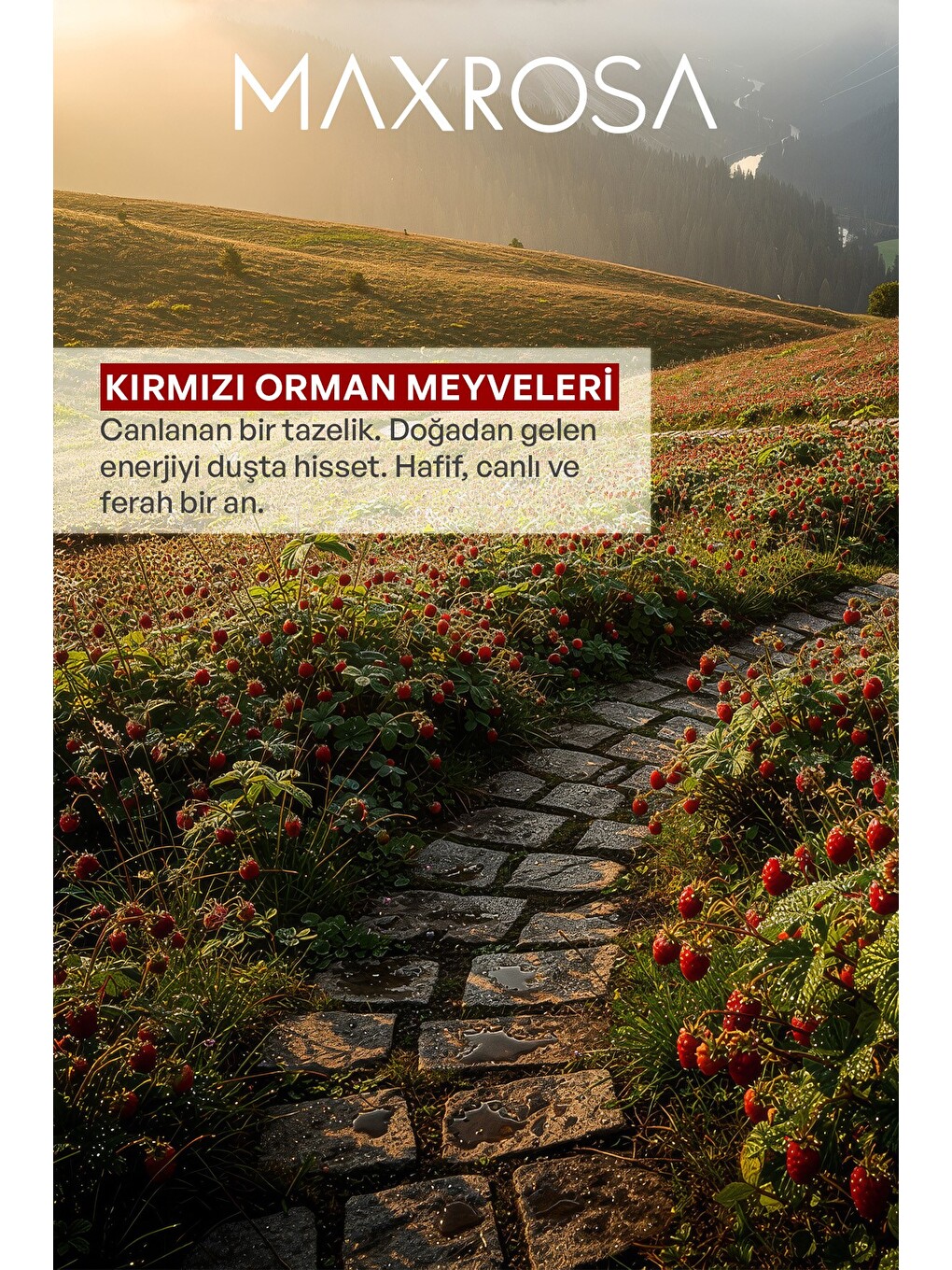 Kırmızı Orman Meyveleri Duş Jeli 600 ml x 4 Adet-4