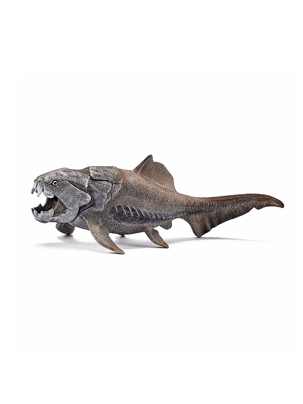 Dunkleosteus 14575